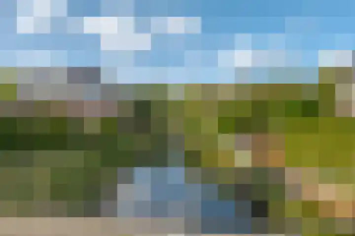 Verhoefbelt 22 Zwolle thumbnail 7