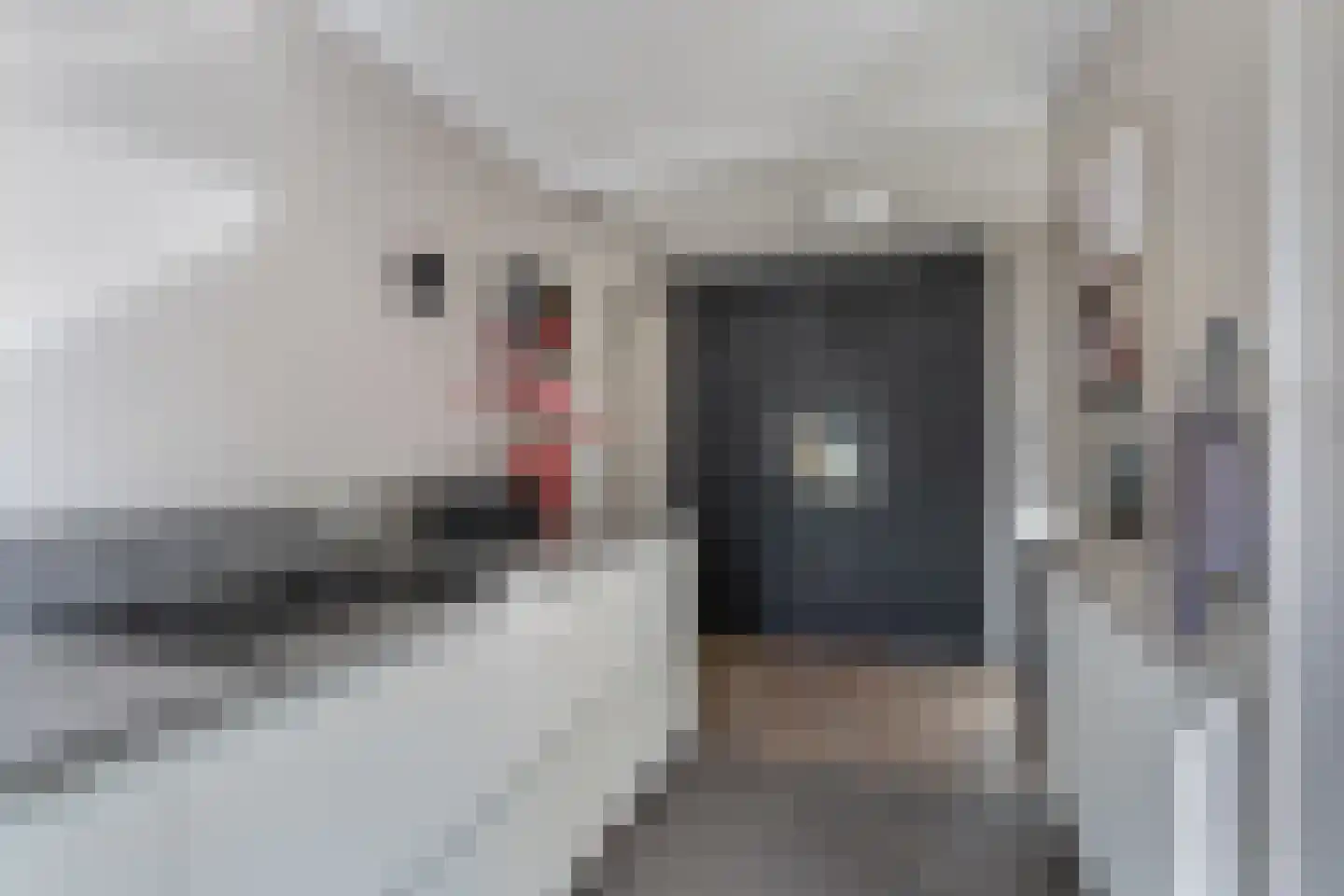 Verhoevenlaan 16 Schijndel thumbnail 12