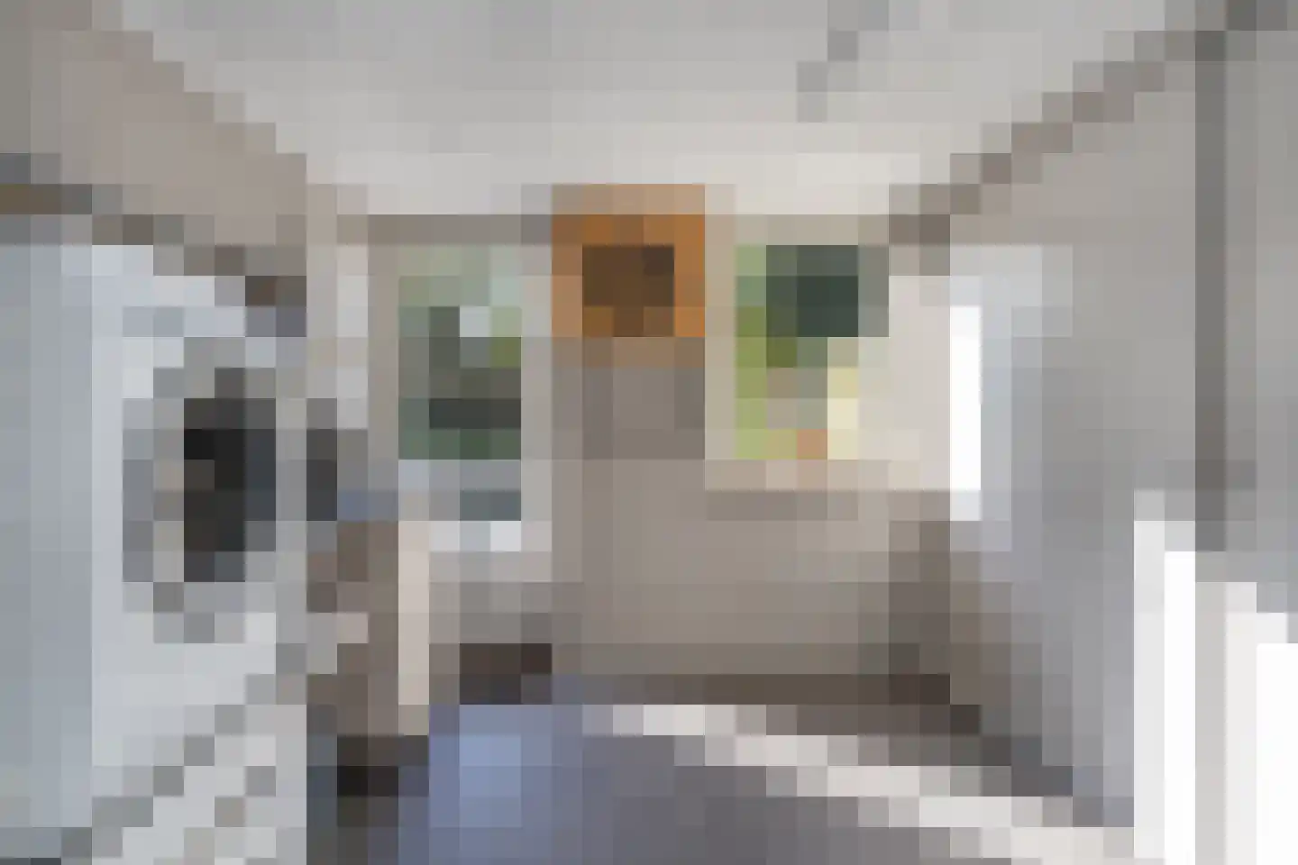 Verhoevenlaan 16 Schijndel thumbnail 15
