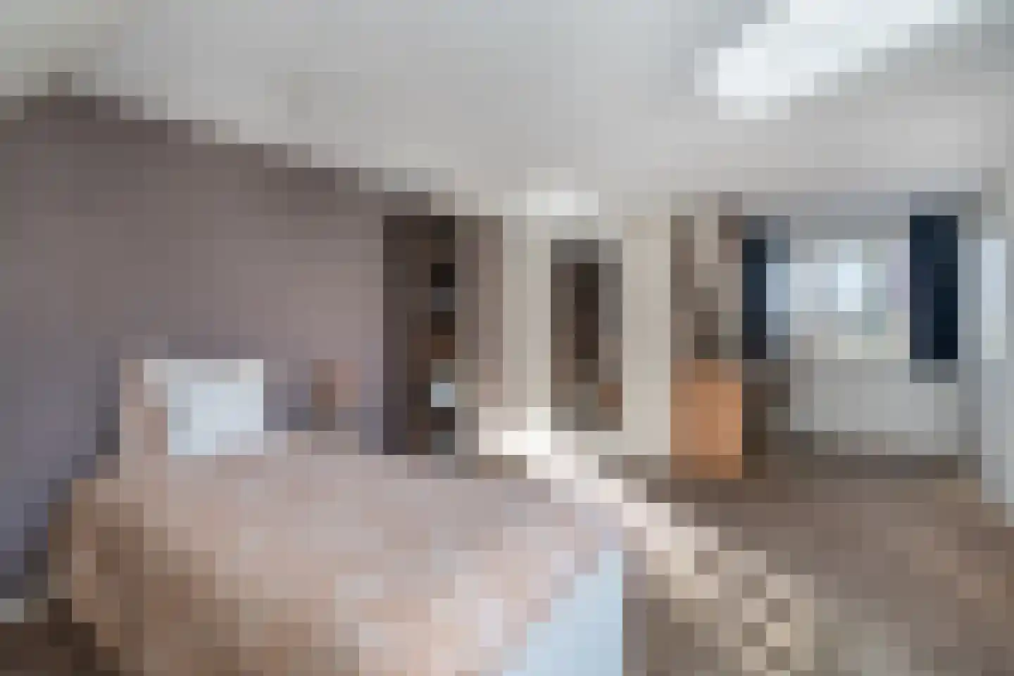 Verhoevenlaan 16 Schijndel thumbnail 20