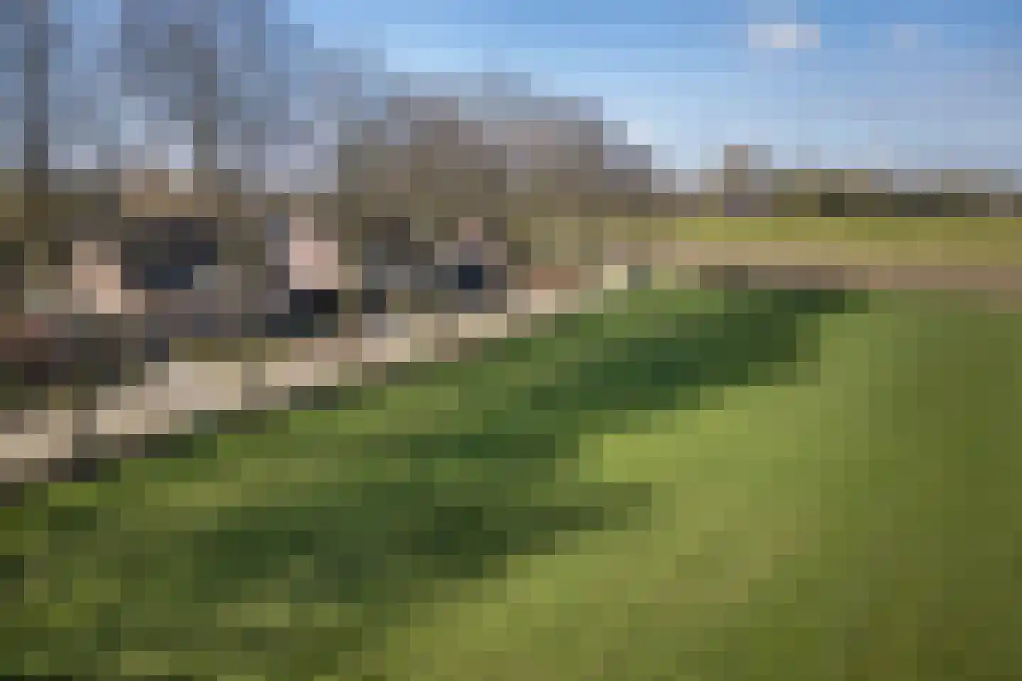 Verhoevenlaan 16 Schijndel thumbnail 37