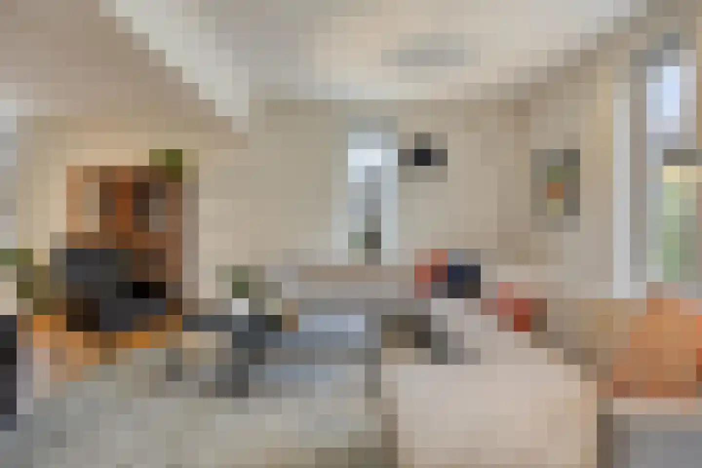 Verhoevenlaan 50 Schijndel thumbnail 17