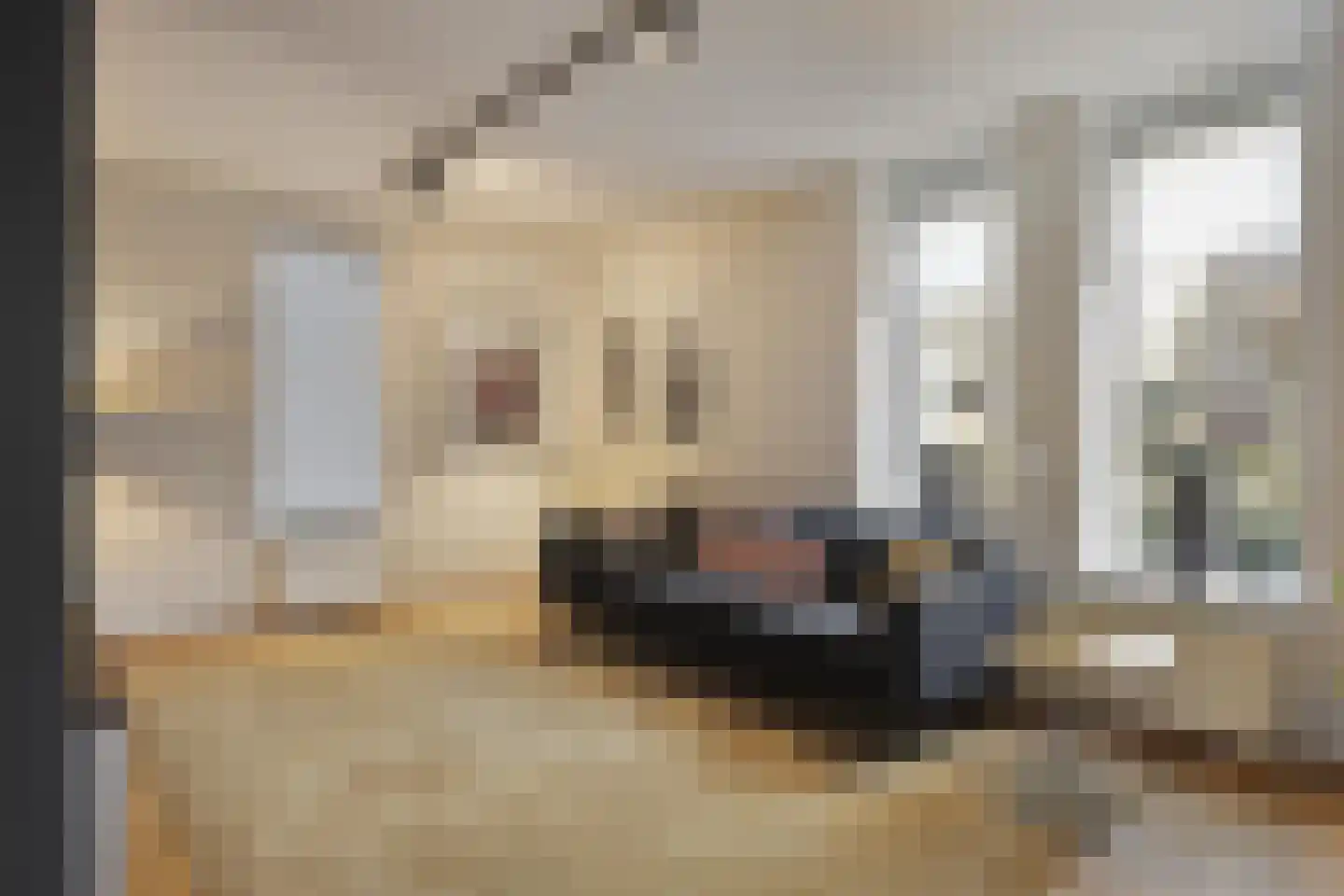 Verhoevenlaan 50 Schijndel thumbnail 23