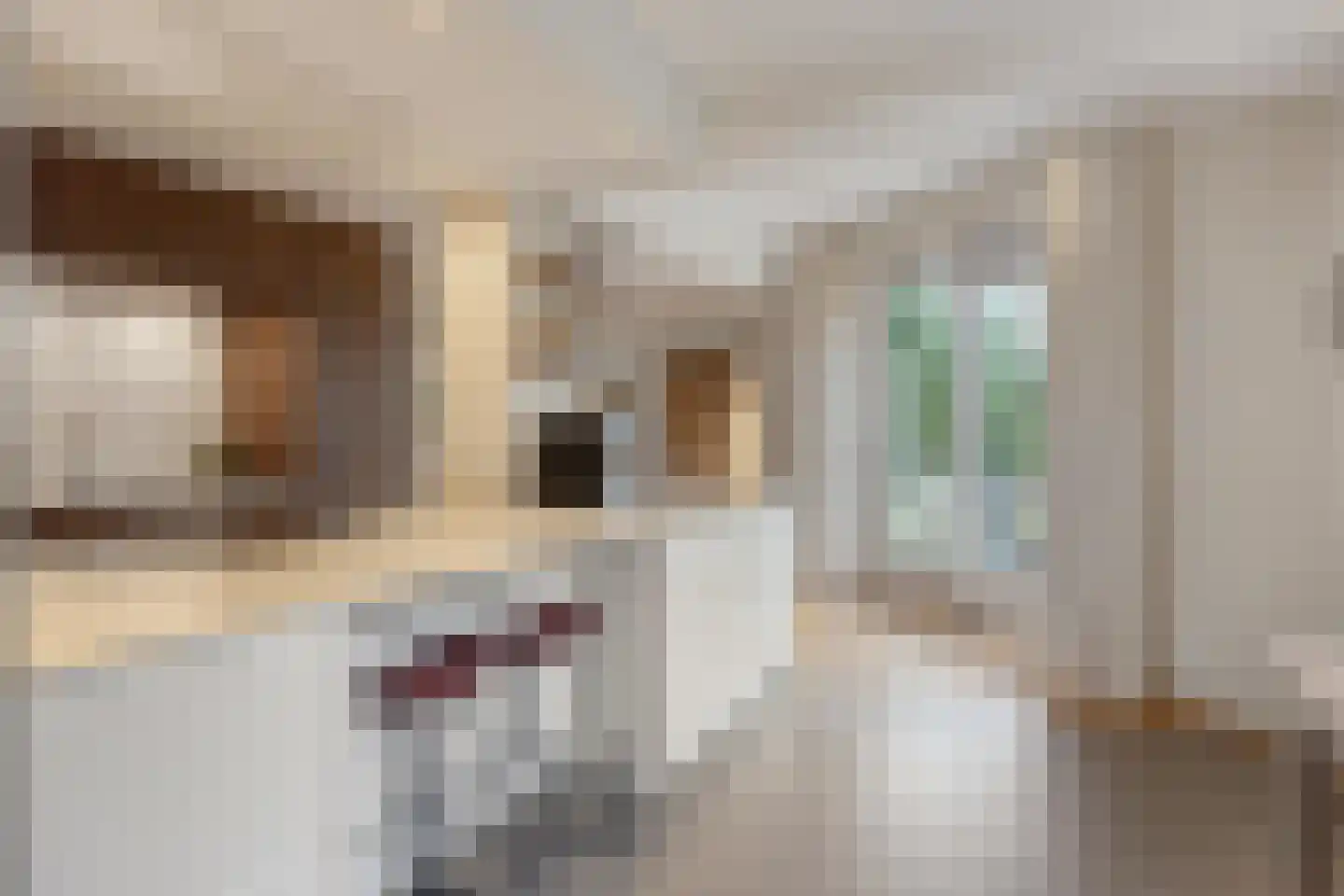 Verhoevenlaan 50 Schijndel thumbnail 35