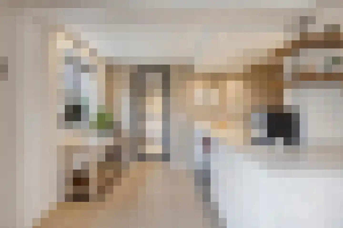 Verhoevenlaan 50 Schijndel thumbnail 38