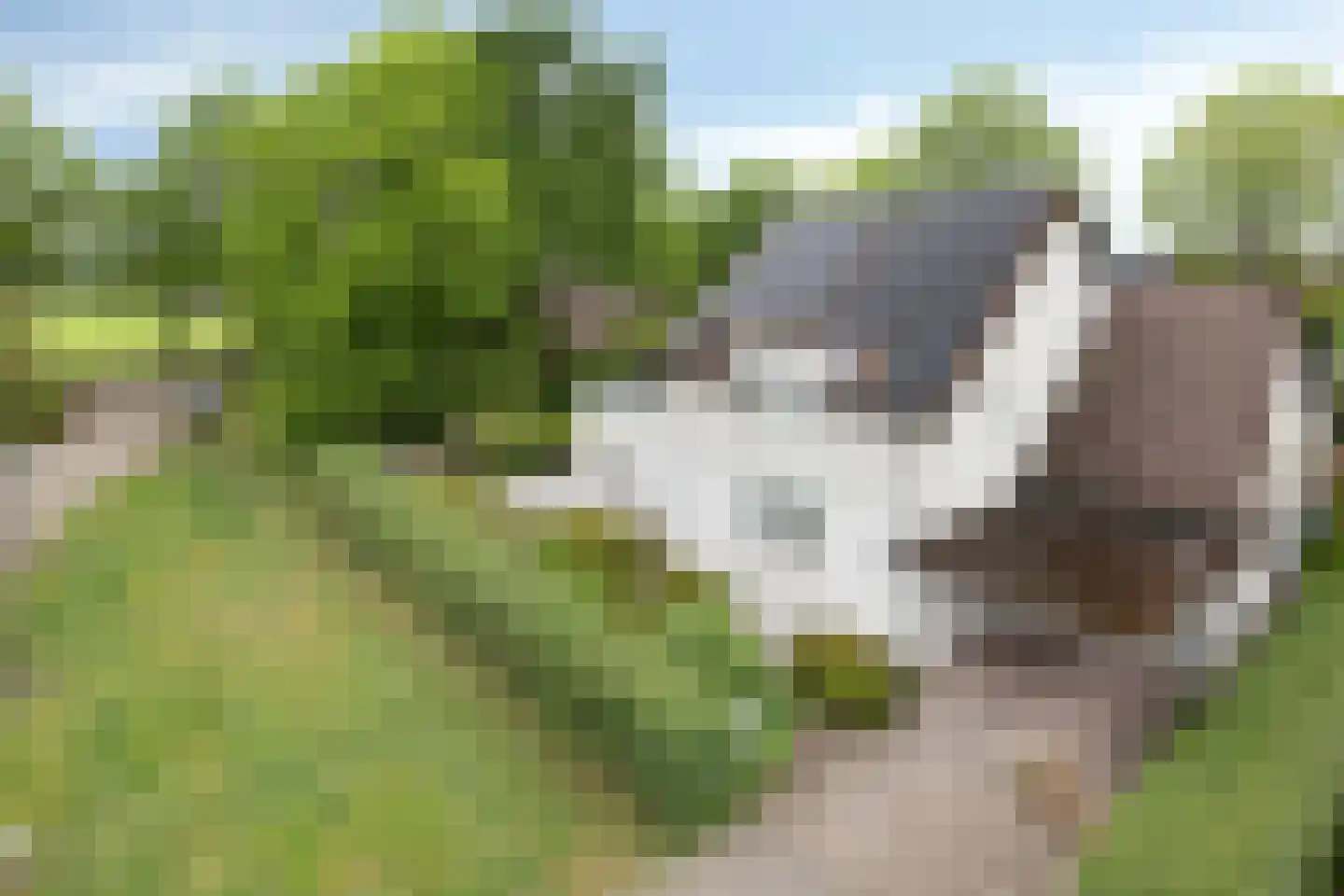 Verhoevenlaan 50 Schijndel thumbnail 6