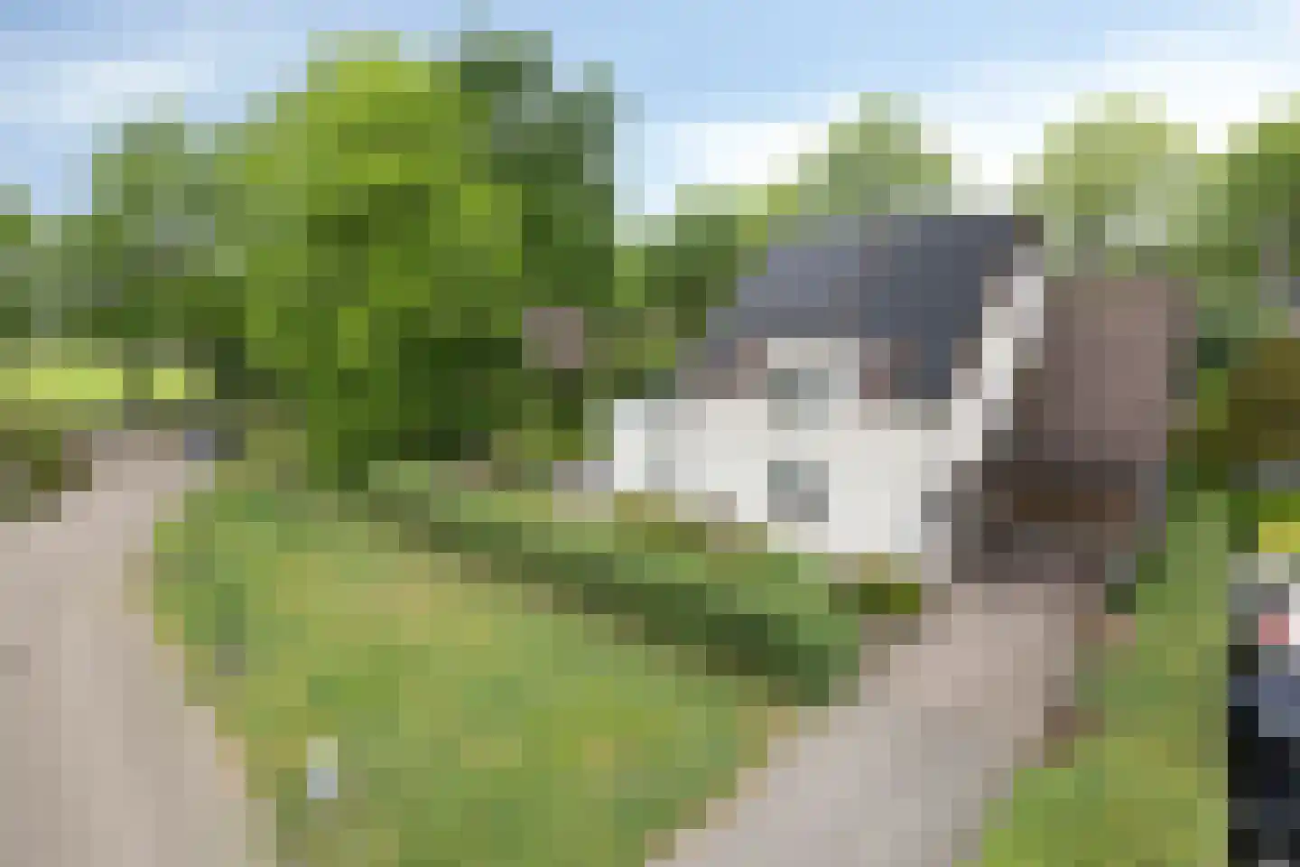 Verhoevenlaan 50 Schijndel thumbnail 7