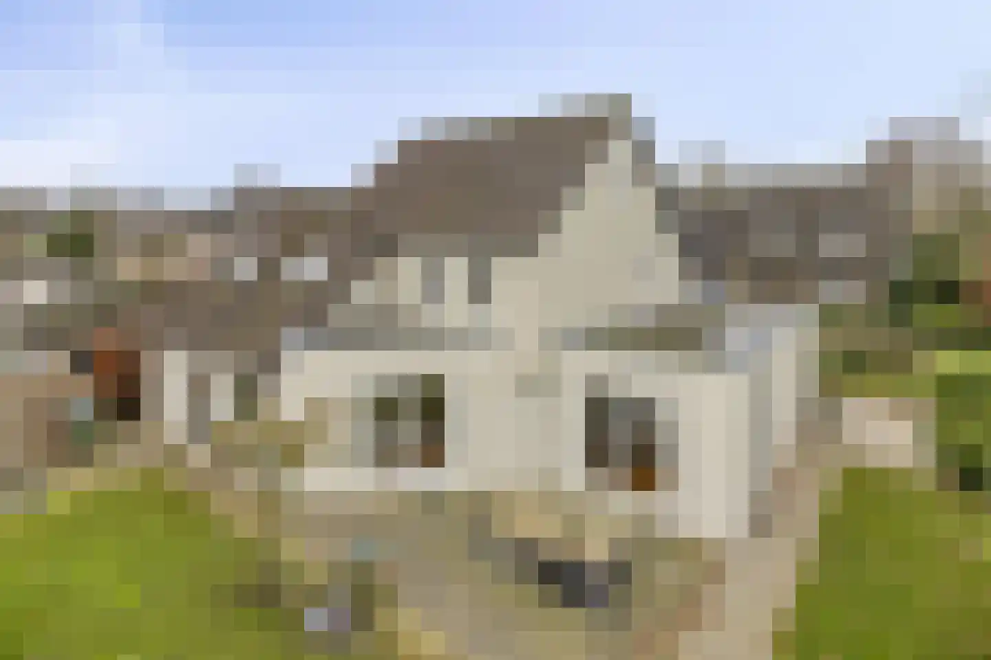 Verhoevenlaan 50 Schijndel thumbnail 70