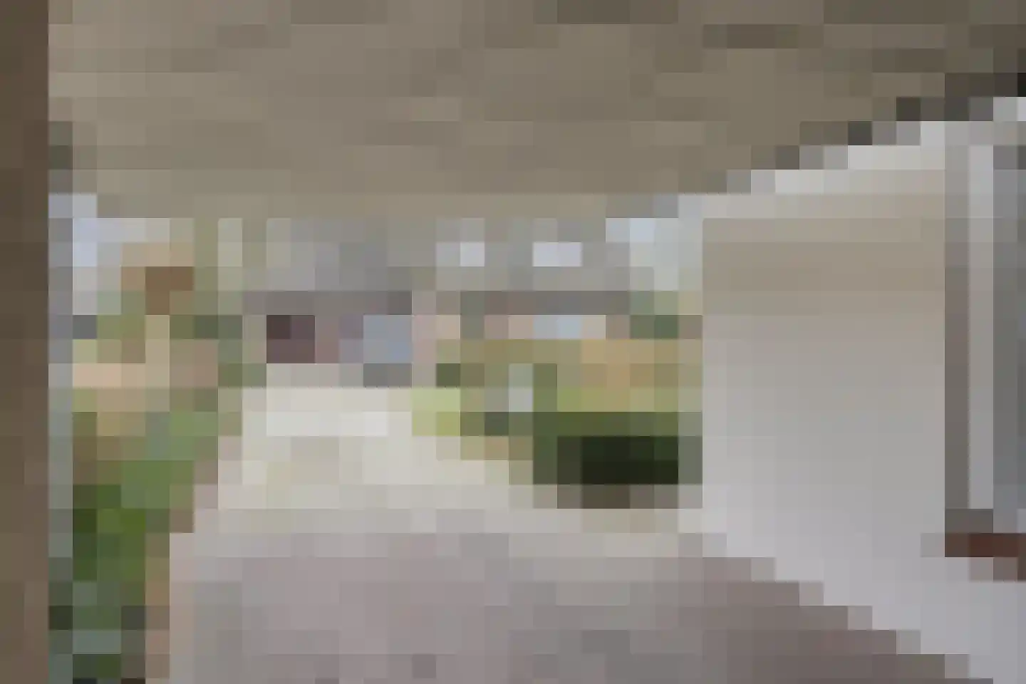 Verhoevenlaan 50 Schijndel thumbnail 8