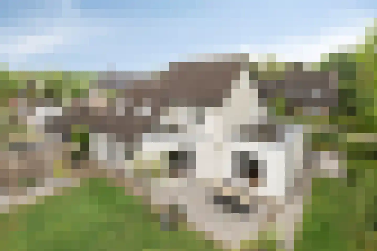 Verhoevenlaan 50 Schijndel thumbnail 80