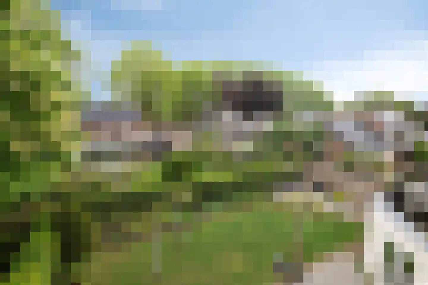 Verhoevenlaan 50 Schijndel thumbnail 81