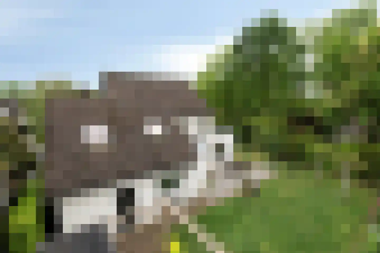 Verhoevenlaan 50 Schijndel thumbnail 82