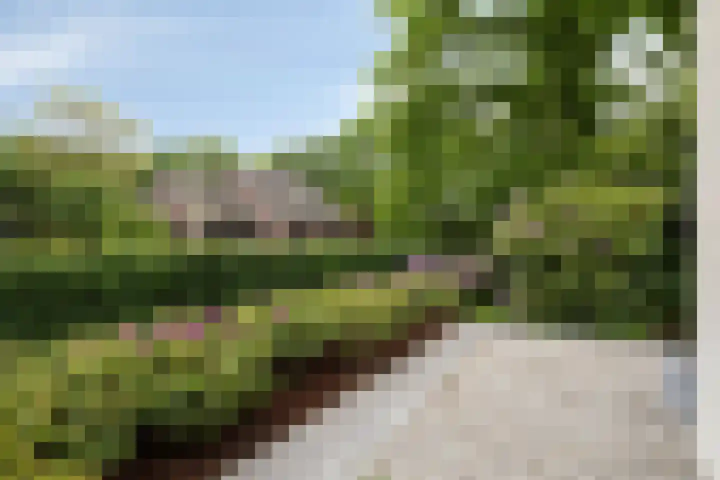 Verhoevenlaan 50 Schijndel thumbnail 85