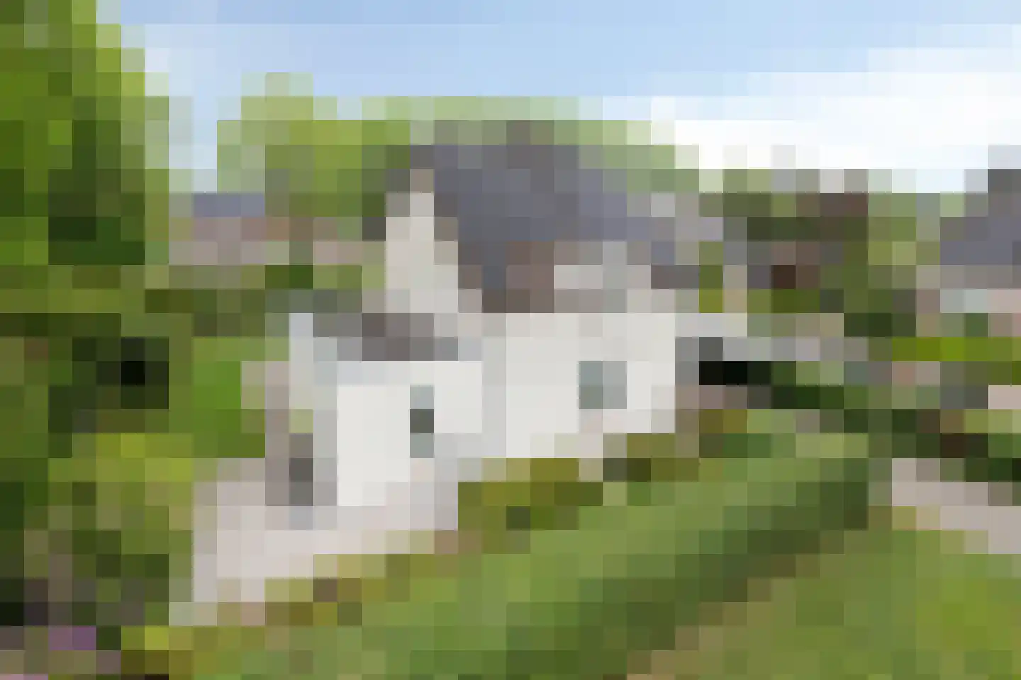 Verhoevenlaan 50 Schijndel thumbnail 9