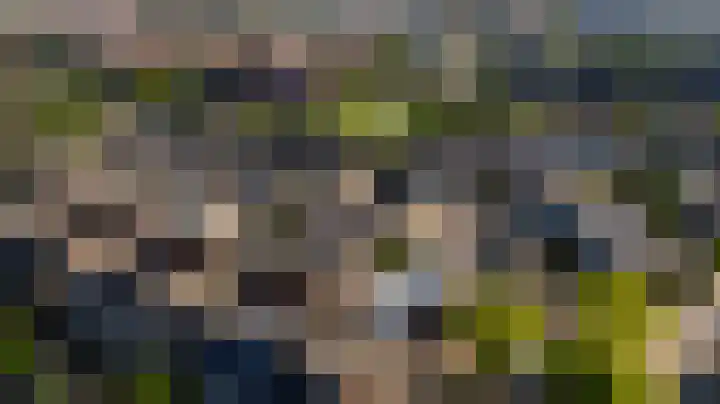 Verhoevenstraat 20 Wateringen thumbnail 5