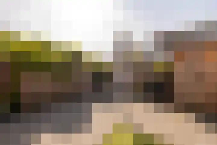Verhoevenstraat 20 Wateringen thumbnail 51