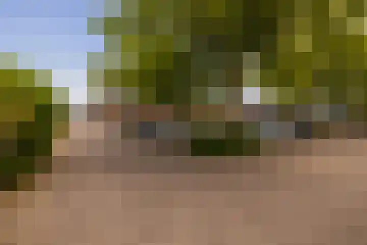 Verhoevenstraat 20 Wateringen thumbnail 56