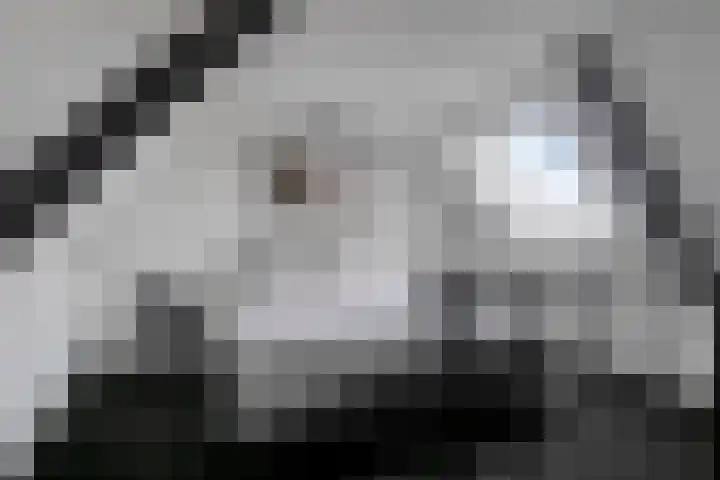 Verhoevenstraat 30 Luyksgestel thumbnail 25