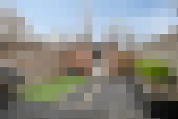 Verhoevenstraat 30 Luyksgestel thumbnail 30