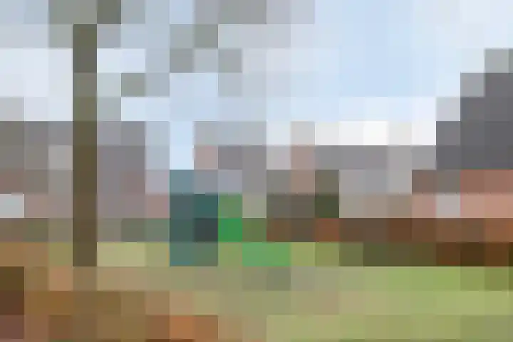 Verhoevenstraat 30 Luyksgestel thumbnail 33