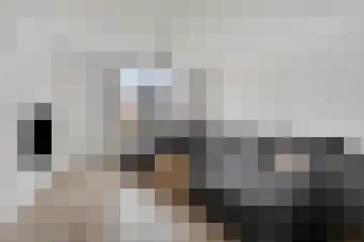 Verhoevenstraat 30 Luyksgestel thumbnail 6