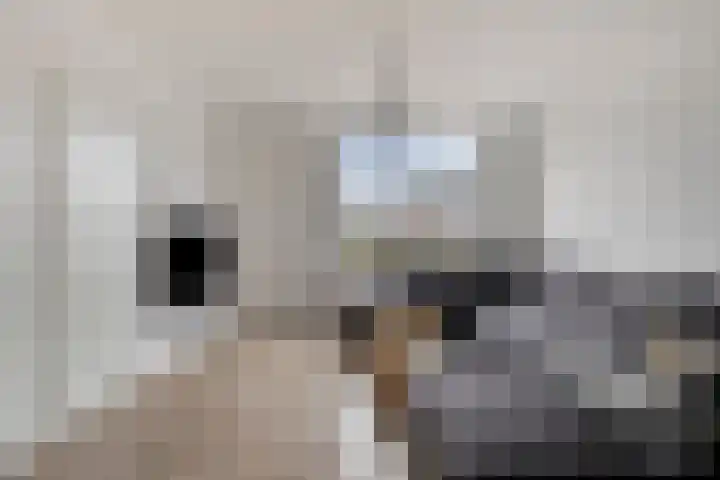 Verhoevenstraat 30 Luyksgestel thumbnail 7