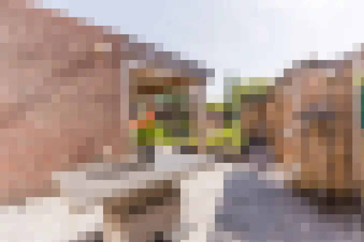Verhoevenstraat 8 Luyksgestel thumbnail 30