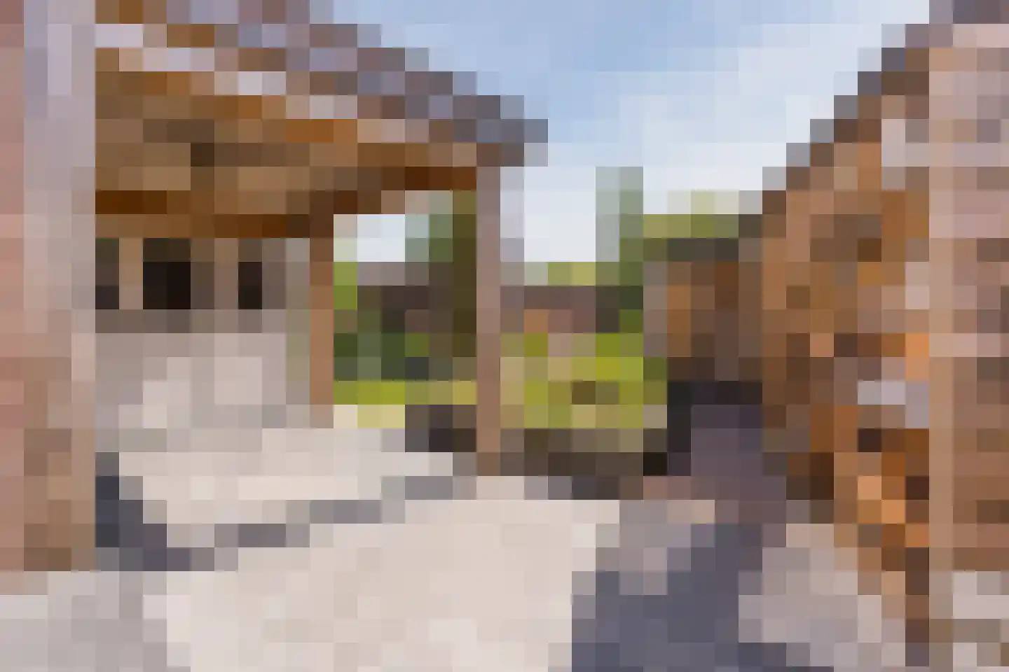 Verhoevenstraat 8 Luyksgestel thumbnail 31