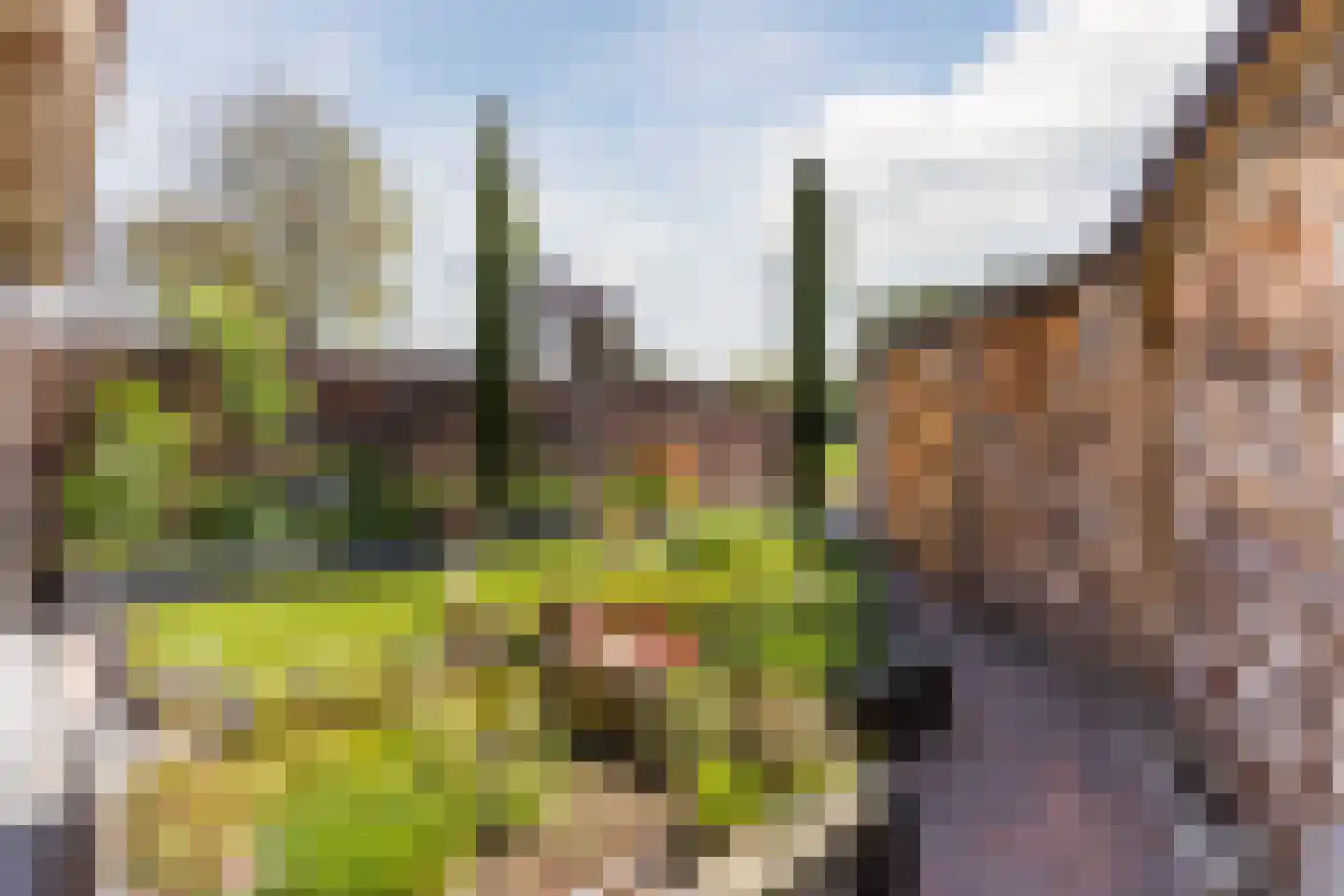 Verhoevenstraat 8 Luyksgestel thumbnail 32