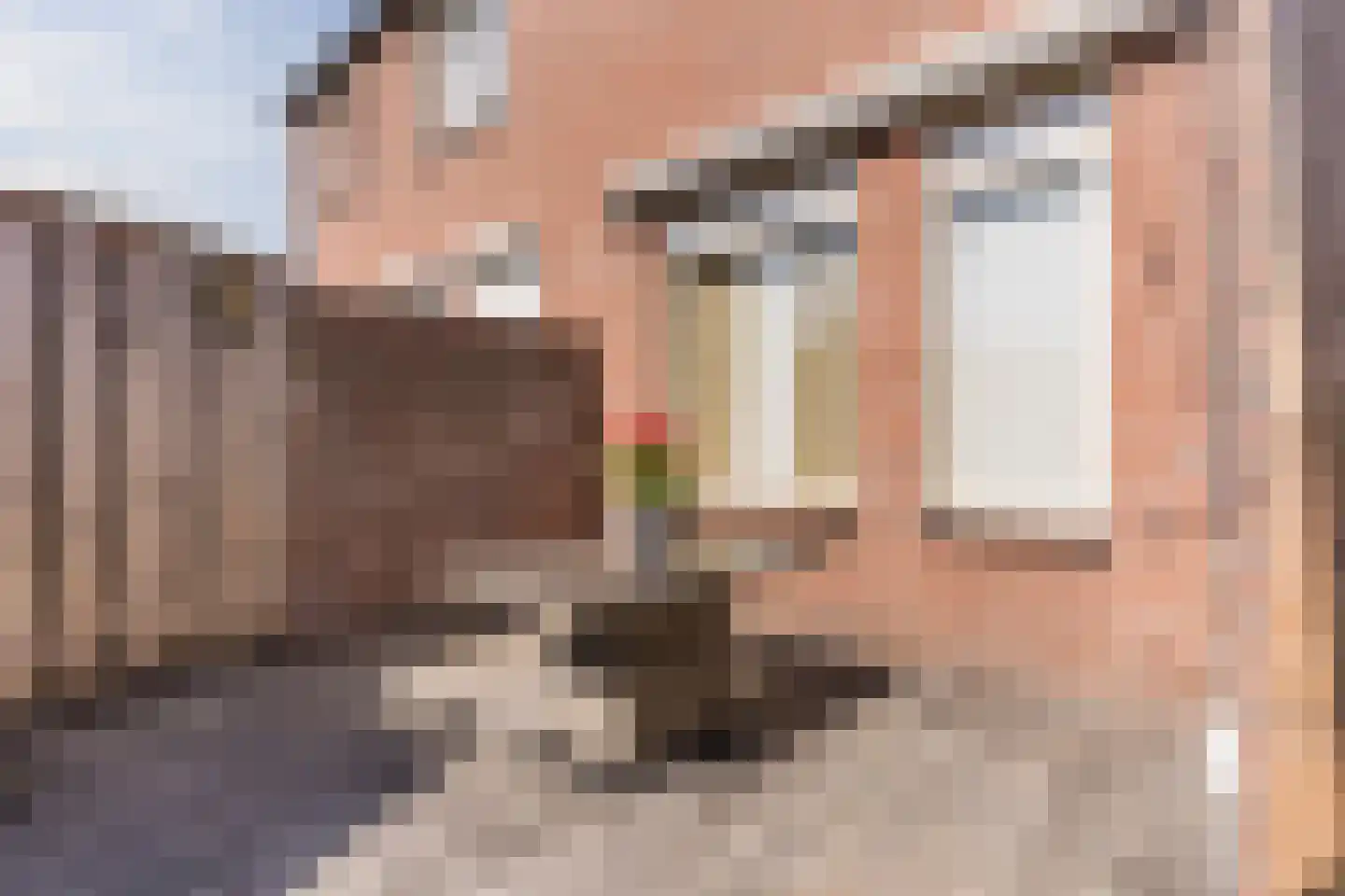 Verhoevenstraat 8 Luyksgestel thumbnail 33
