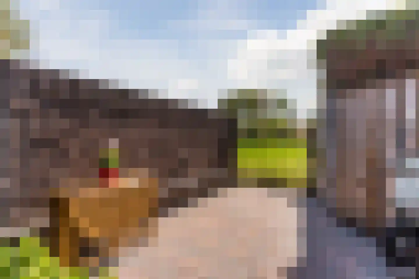 Verhoevenstraat 8 Luyksgestel thumbnail 36