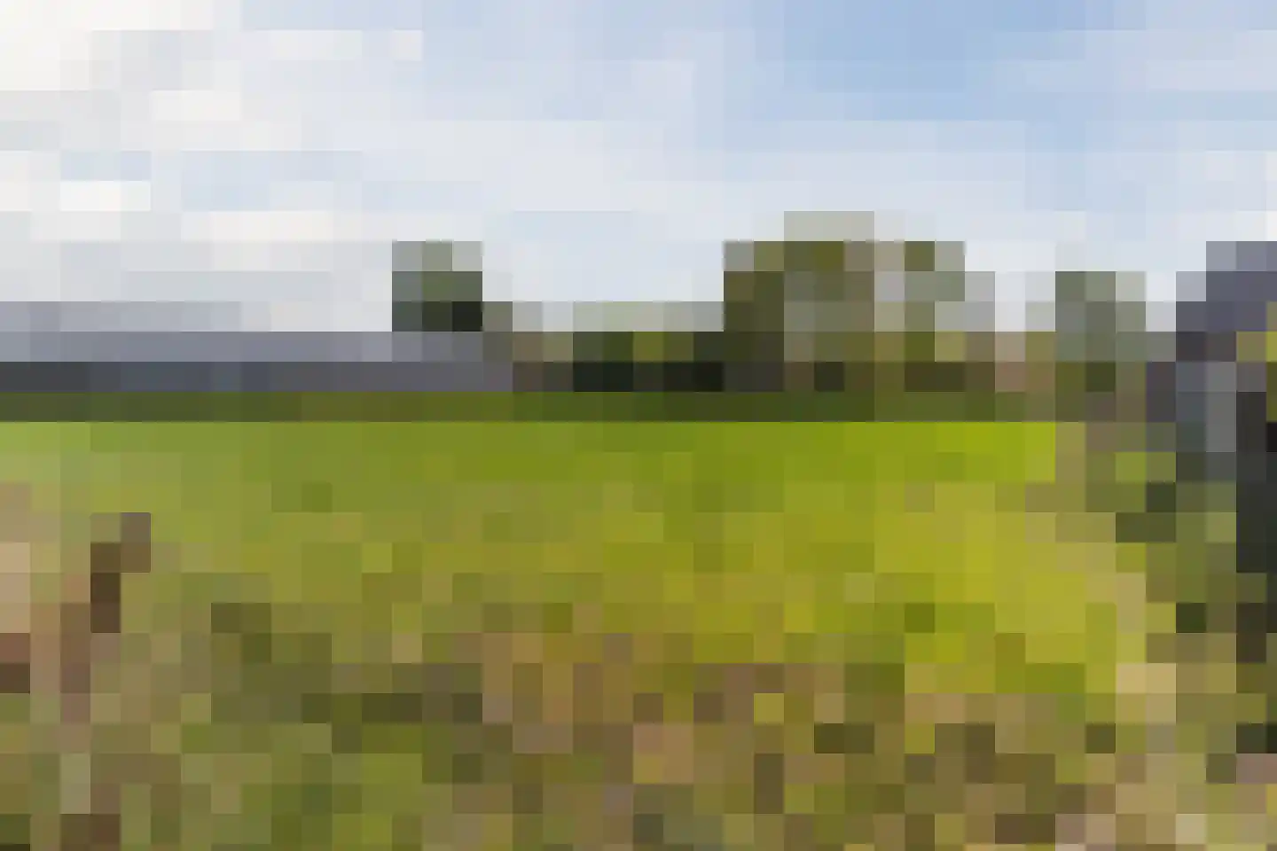 Verhoevenstraat 8 Luyksgestel thumbnail 37