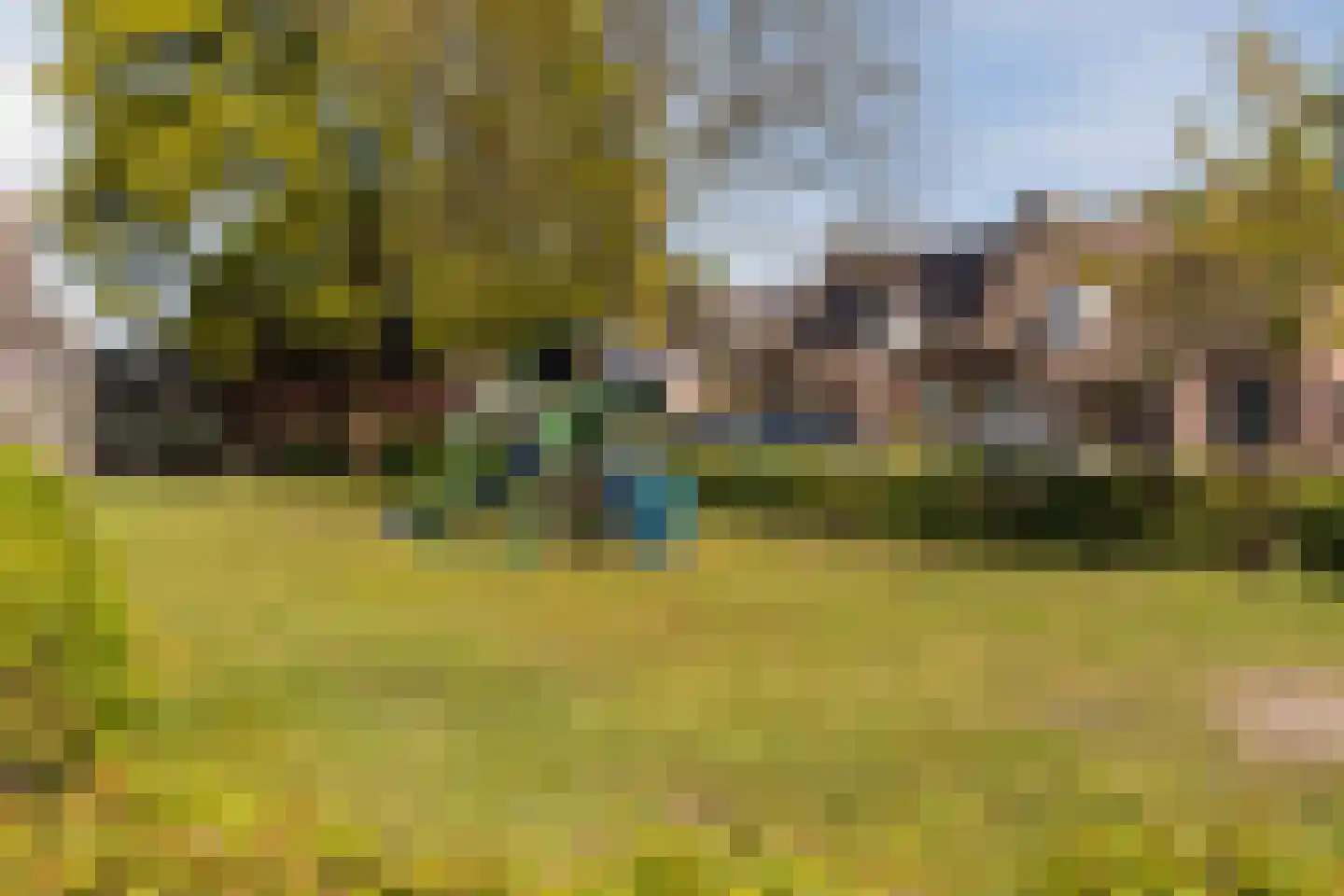 Verhoevenstraat 8 Luyksgestel thumbnail 41