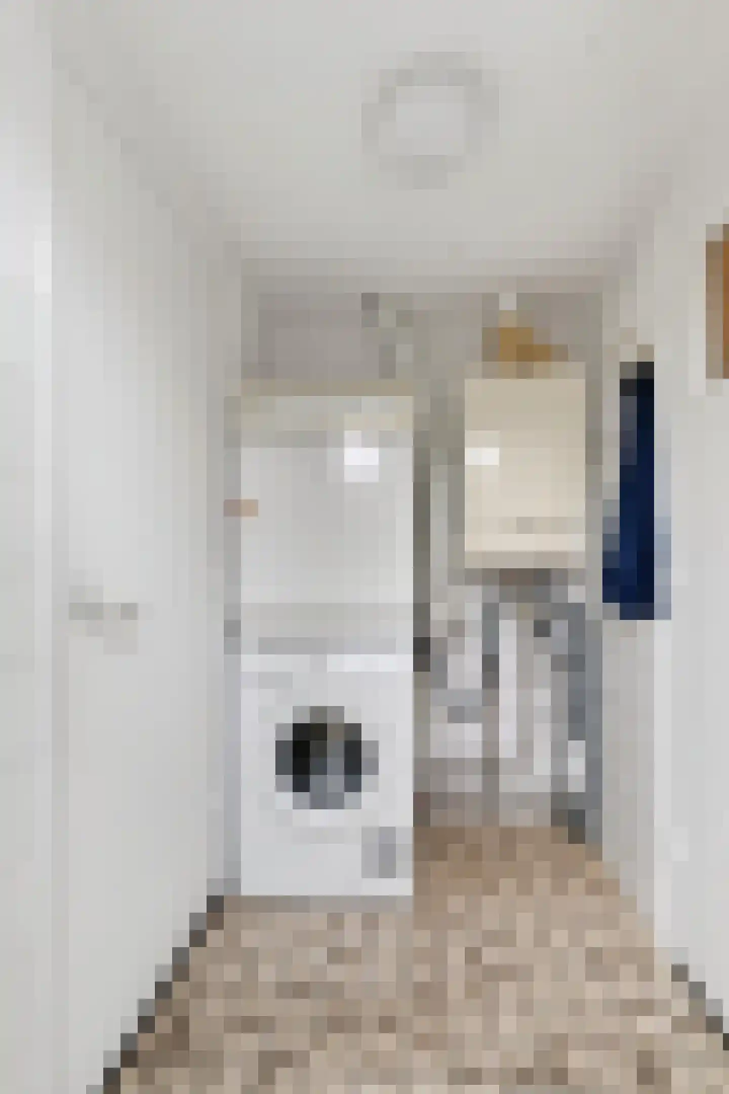 Verhoevenstraat 88 Amersfoort thumbnail 12