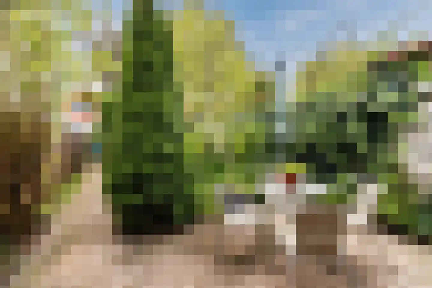 Verhoevenstraat 88 Amersfoort thumbnail 40