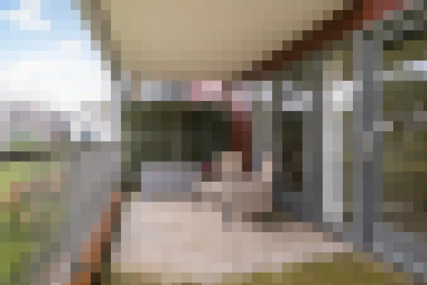 Verhuellpark 2 Ede thumbnail 17