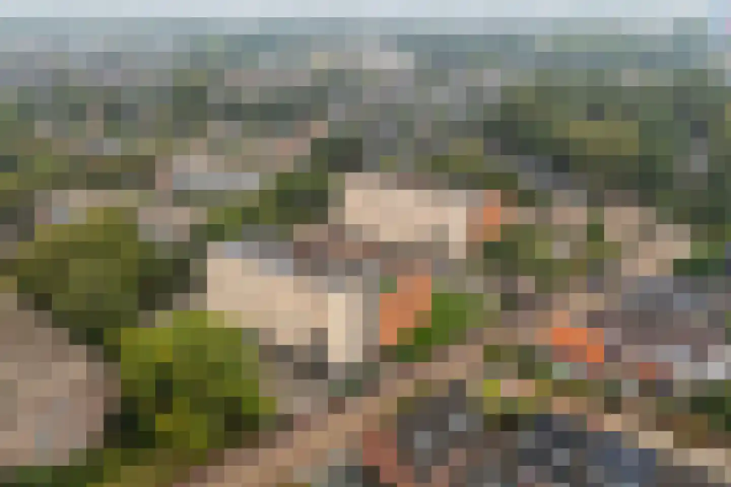 Verhuellpark 2 Ede thumbnail 33