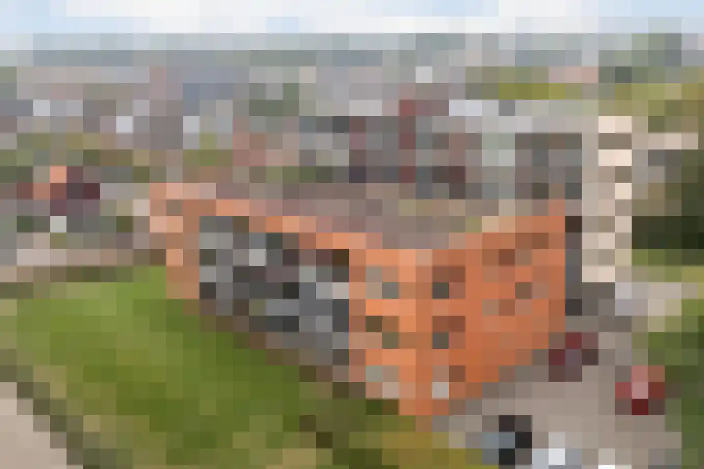 Verhuellpark 2 Ede thumbnail 36