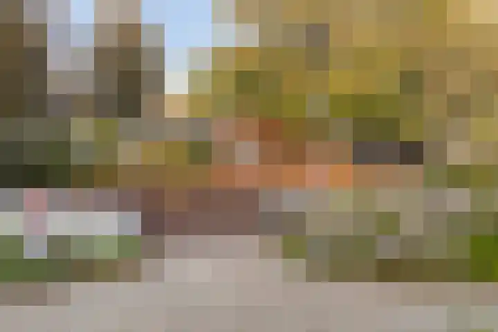 Verhuellstraat 15 Arnhem thumbnail 35