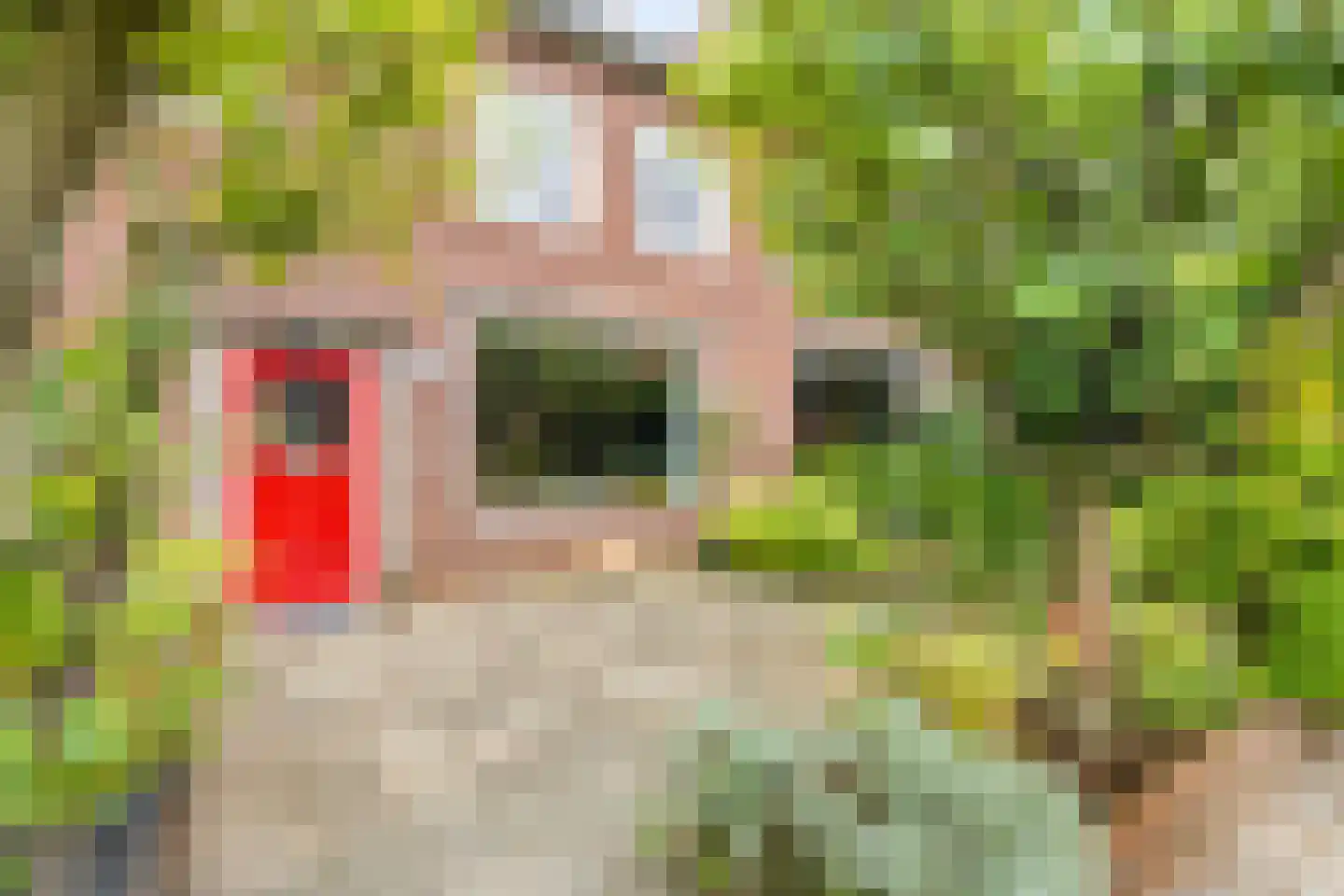 Verhuellweg 3 Breda thumbnail 10
