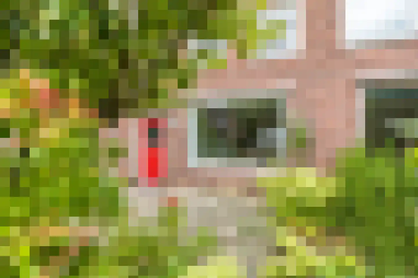 Verhuellweg 3 Breda thumbnail 11