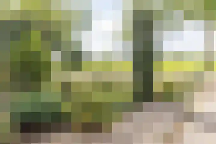 Verhuizensestraat 1 a Ingen thumbnail 36