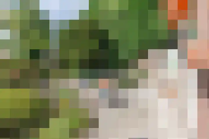 Verhuizensestraat 1 a Ingen thumbnail 37