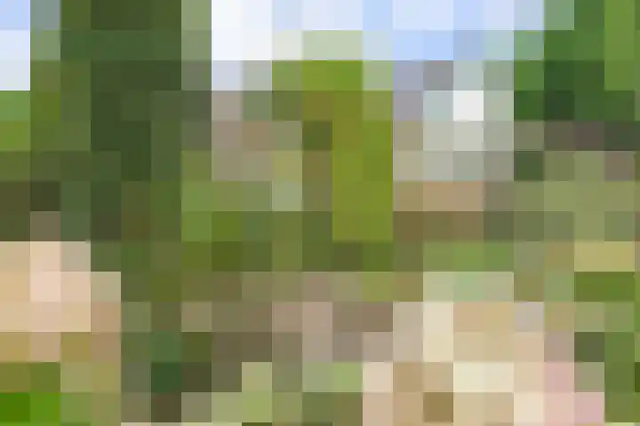 Verhuizensestraat 1 a Ingen thumbnail 39