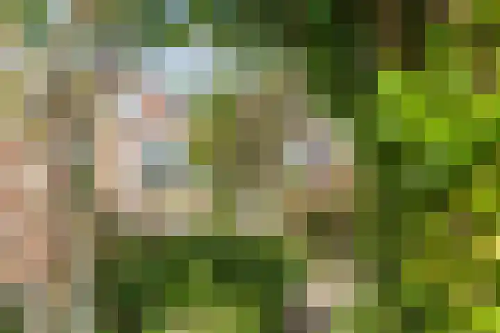 Verhuizensestraat 1 a Ingen thumbnail 40