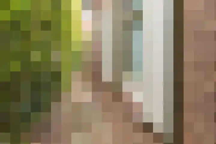 Verhuizensestraat 1 a Ingen thumbnail 44