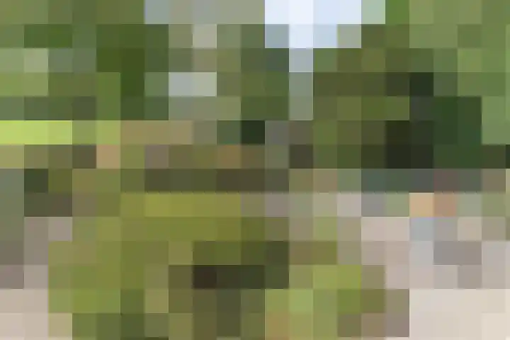 Verhuizensestraat 1 a Ingen thumbnail 46