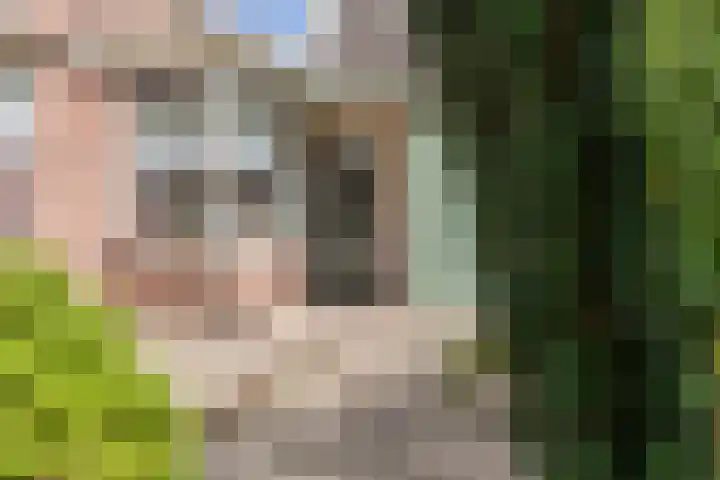 Verhuizensestraat 1 a Ingen thumbnail 47