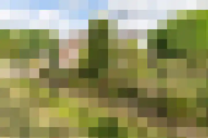 Verhuizensestraat 1 a Ingen thumbnail 65