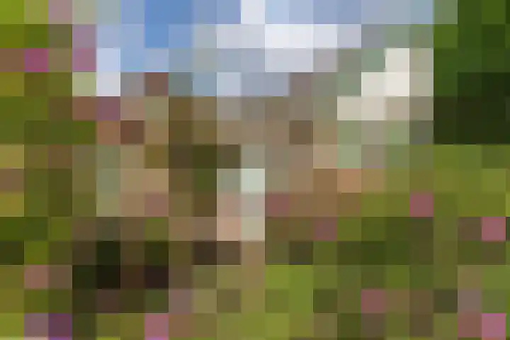 Verhuizensestraat 1 a Ingen thumbnail 66